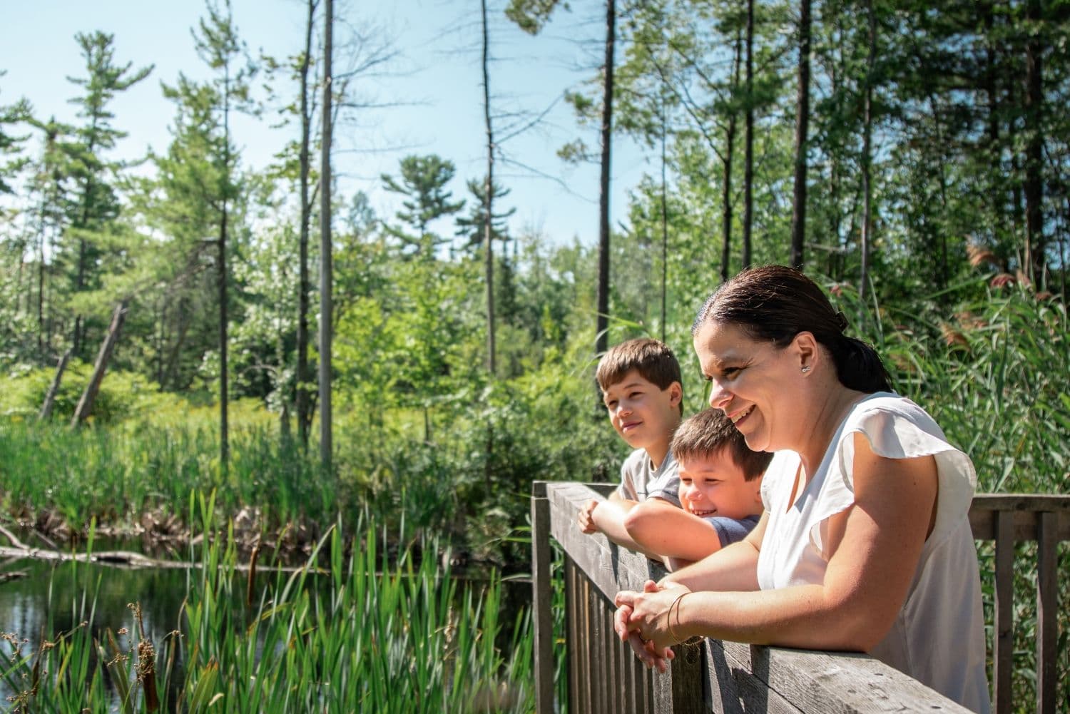 belvédère-panorama photo