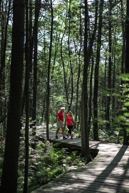 parc regional des greves photo