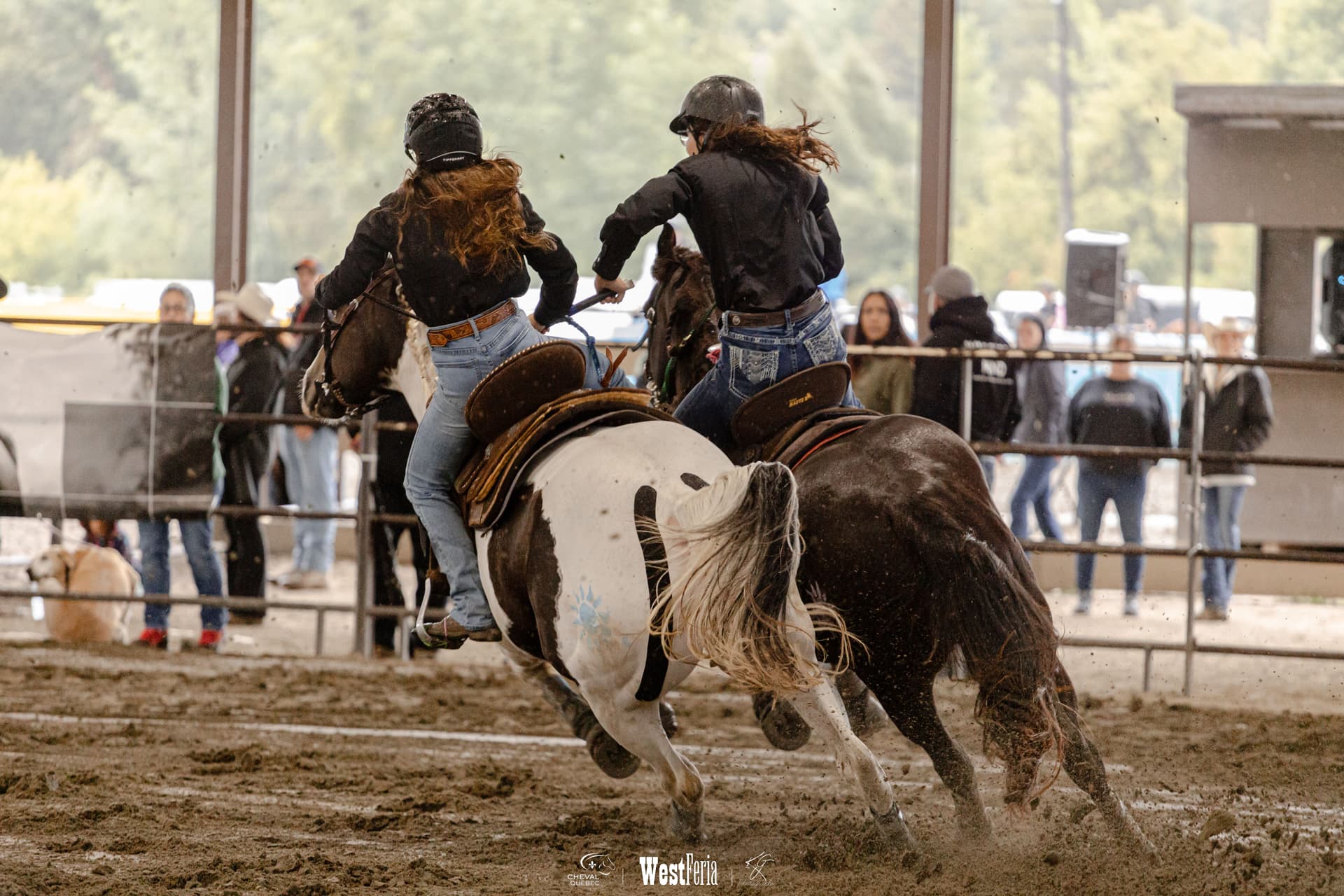 westferia performance photo
