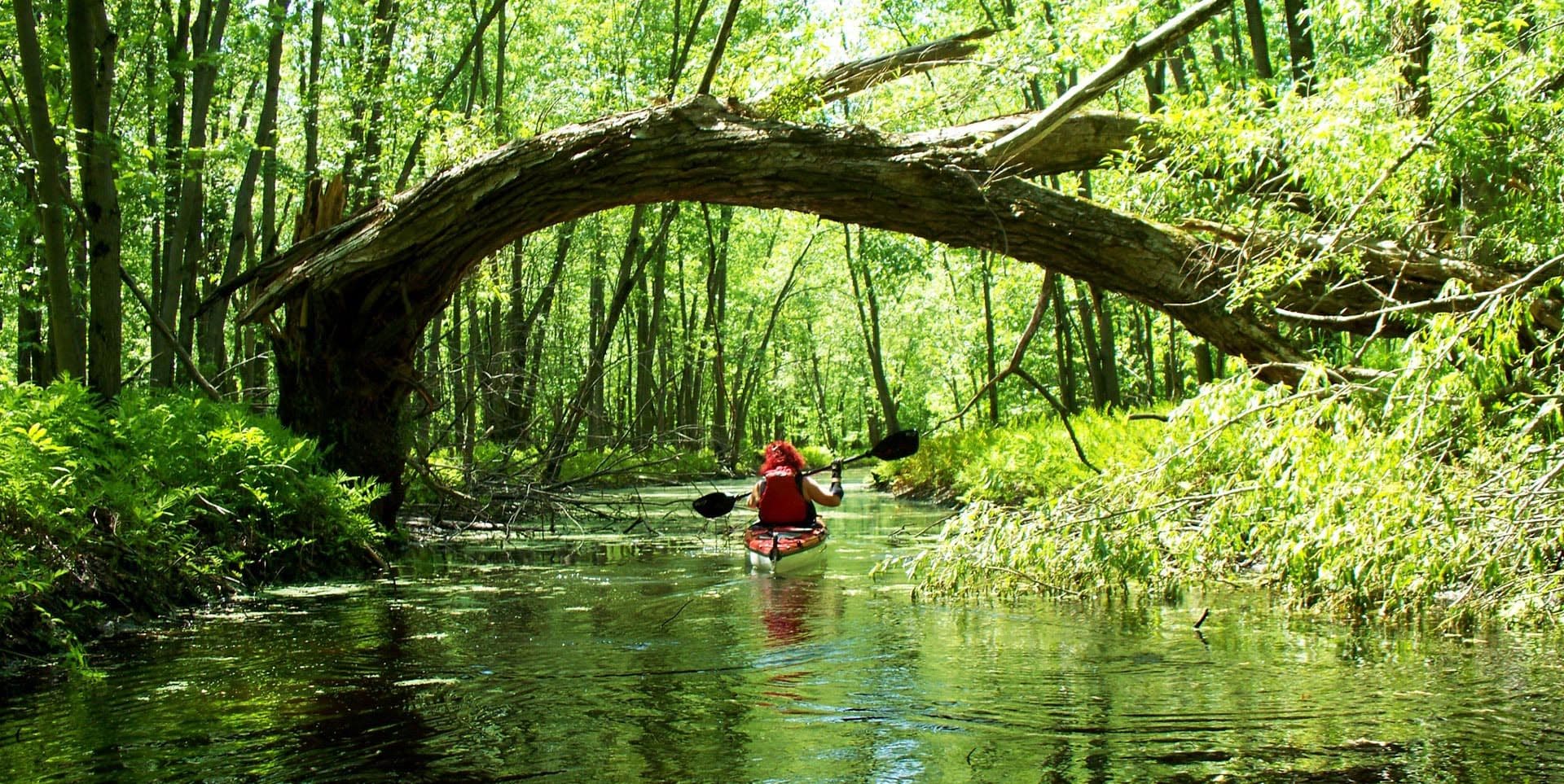 Grange à Houblon