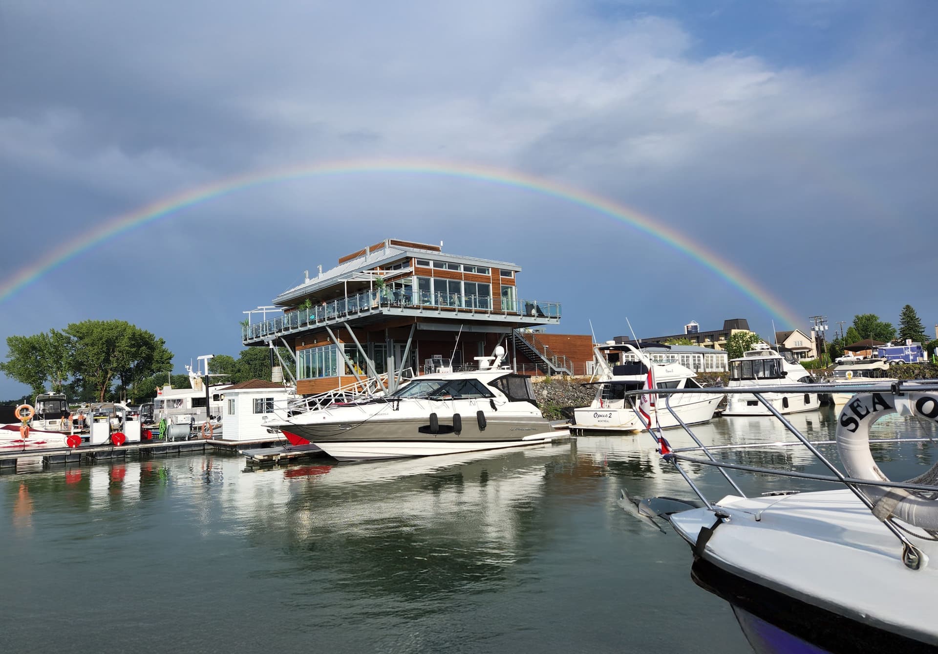 Pleasure boats moored in a quiet tree-lined marina, under a clear blue sky.