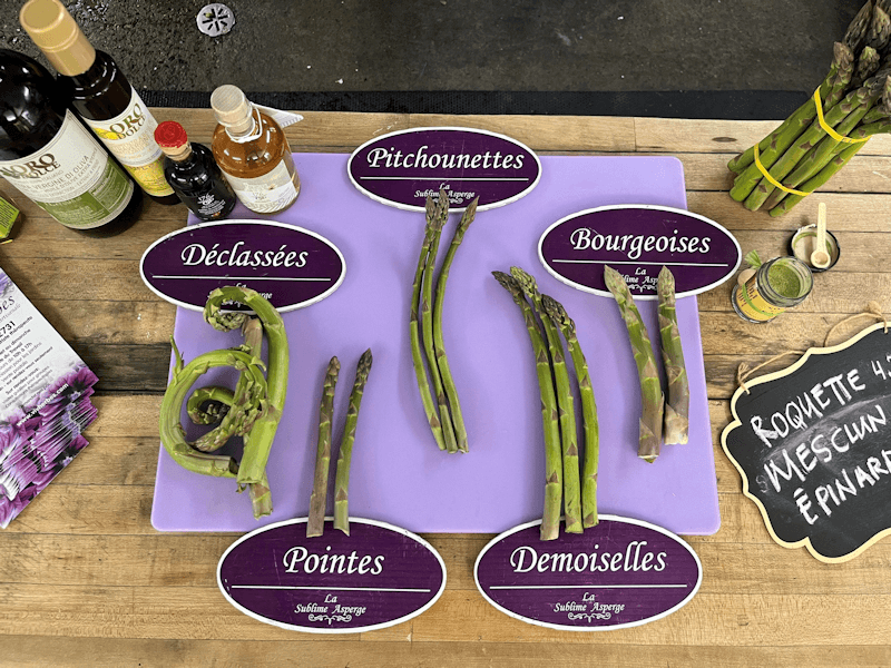 La Sublime Asperge photo
