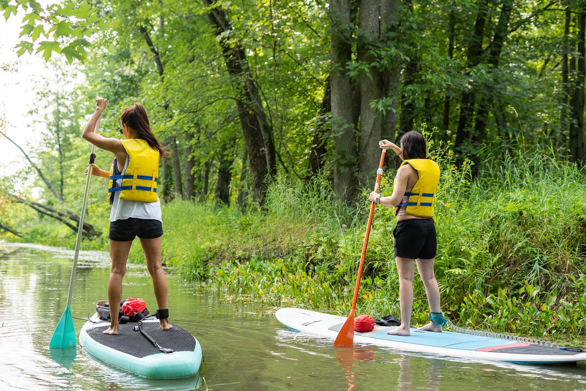 passion planches photo