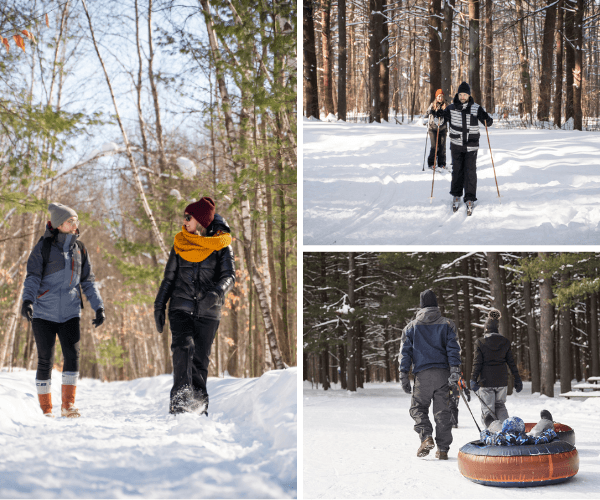 parc régional des greves hiver photo