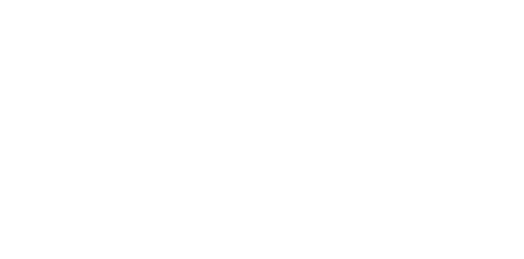 statera experience logo