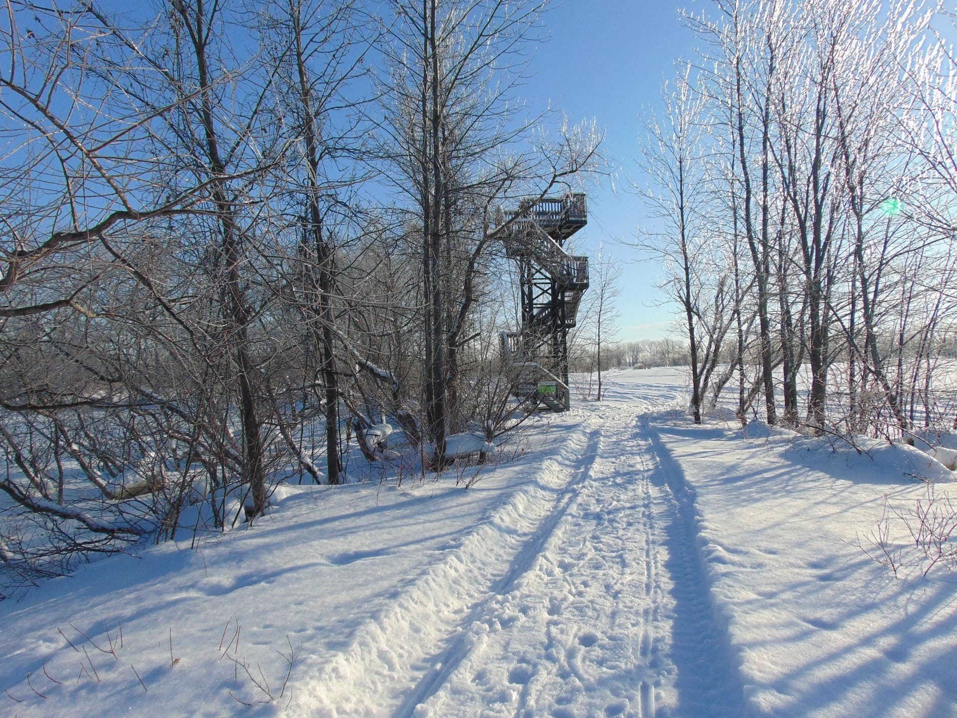 parc maison du marais hiver photo