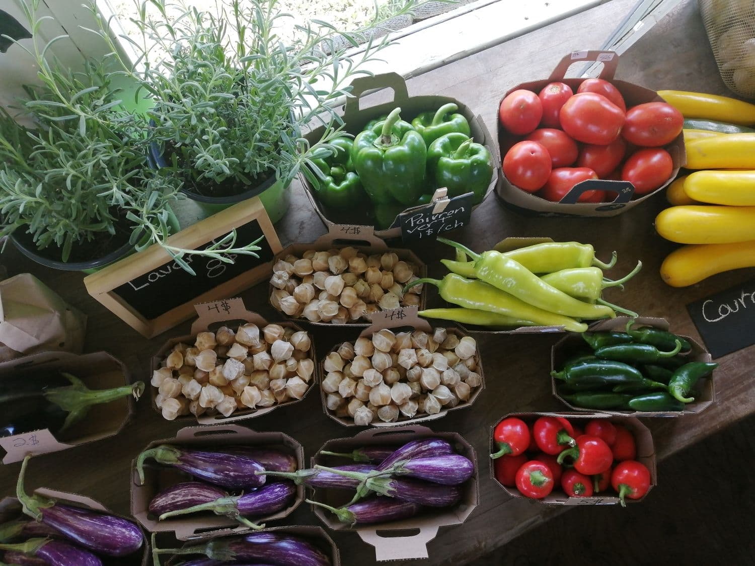 Saveurs régionales photo