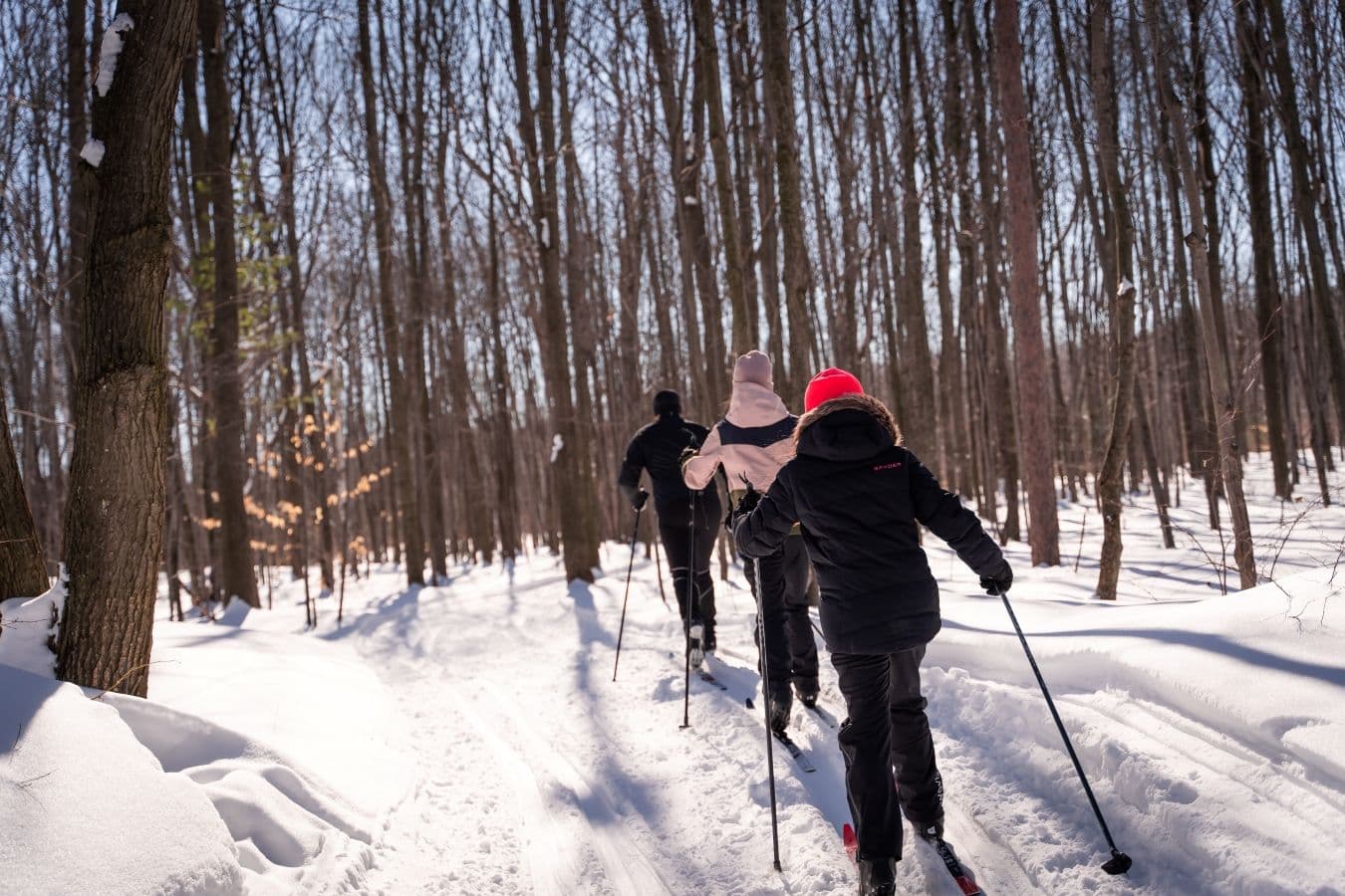Colonie des Grèves photo