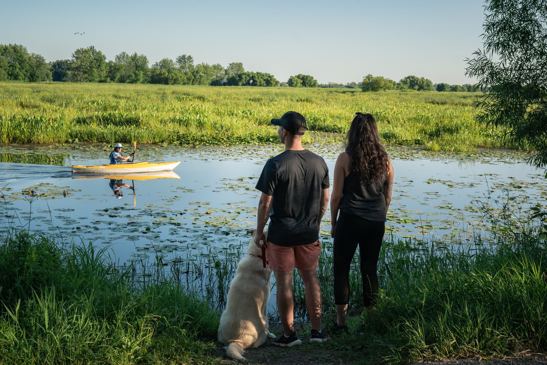 maison du marais photo