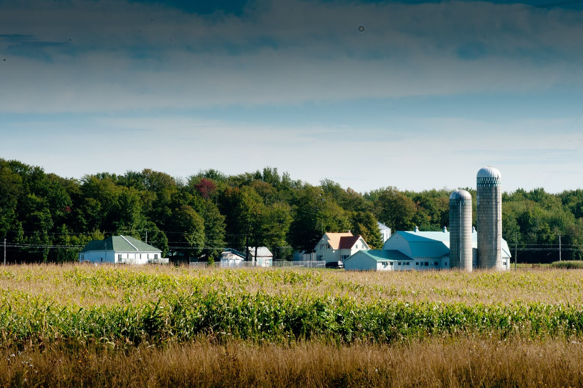 Ferme entourée de champs cultivés avec silos métalliques, bâtiments agricoles et forêt en arrière-plan sous ciel nuageux.