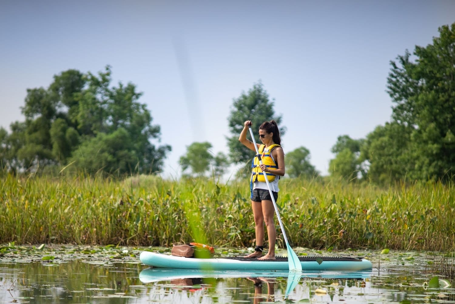Nature et plein air photo