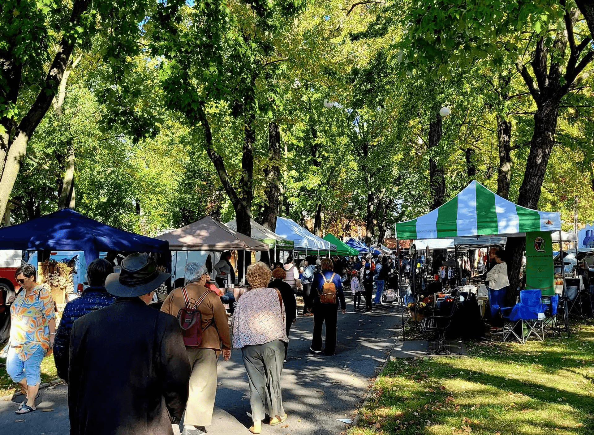 Marché du Vieux-Saurel photo