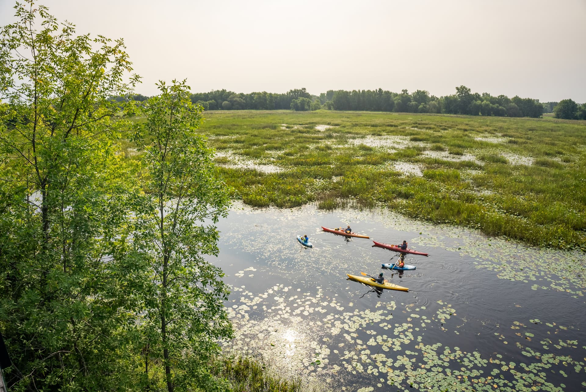 Parcs bateaux blancs