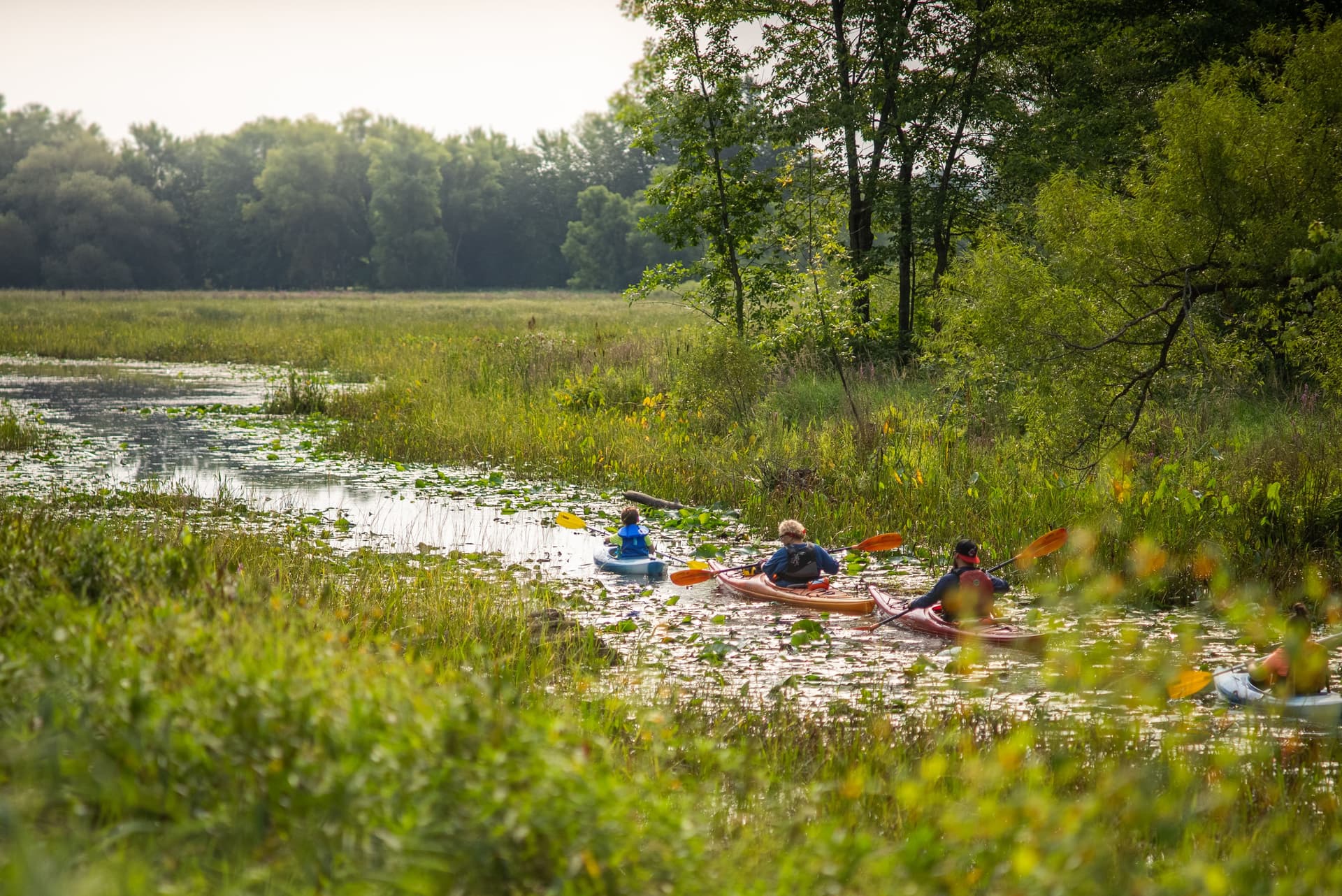 Gens dans les îles-de-Saint-Anne-de-Sorel qui font du kayak